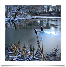BY 6 - Lymm Dam - Chris Beesley